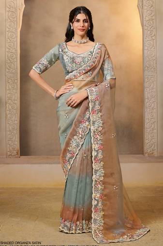 shaded organza satin saree with thread & stone work + blouse