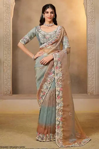 shaded organza satin saree with thread & stone work + blouse