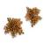 Gold plated metallic abstart earrings for ethnic wedding look