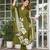 Green Floral Printed Round Neck Pure Cotton Kurta With Trouser & Dupatta
