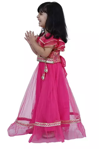 Brocade woven half sleeves embellished  top with net lehenga-pink