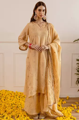 Beige embroidered organza kurta set