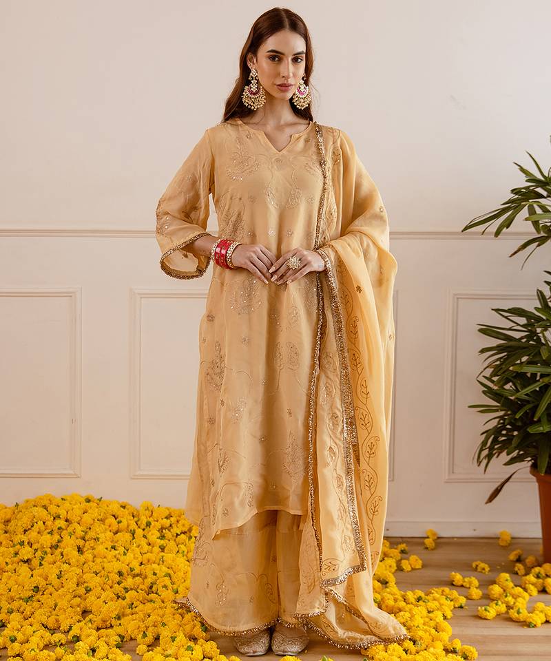 Beige embroidered organza kurta set