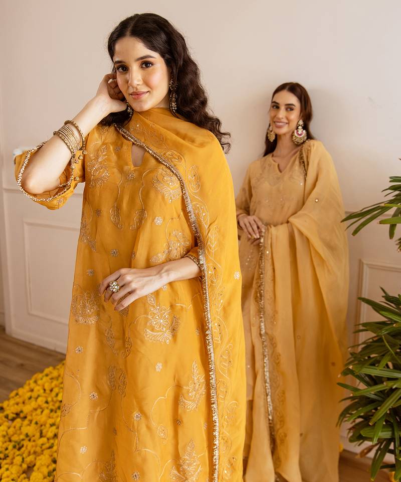 Beige embroidered organza kurta set