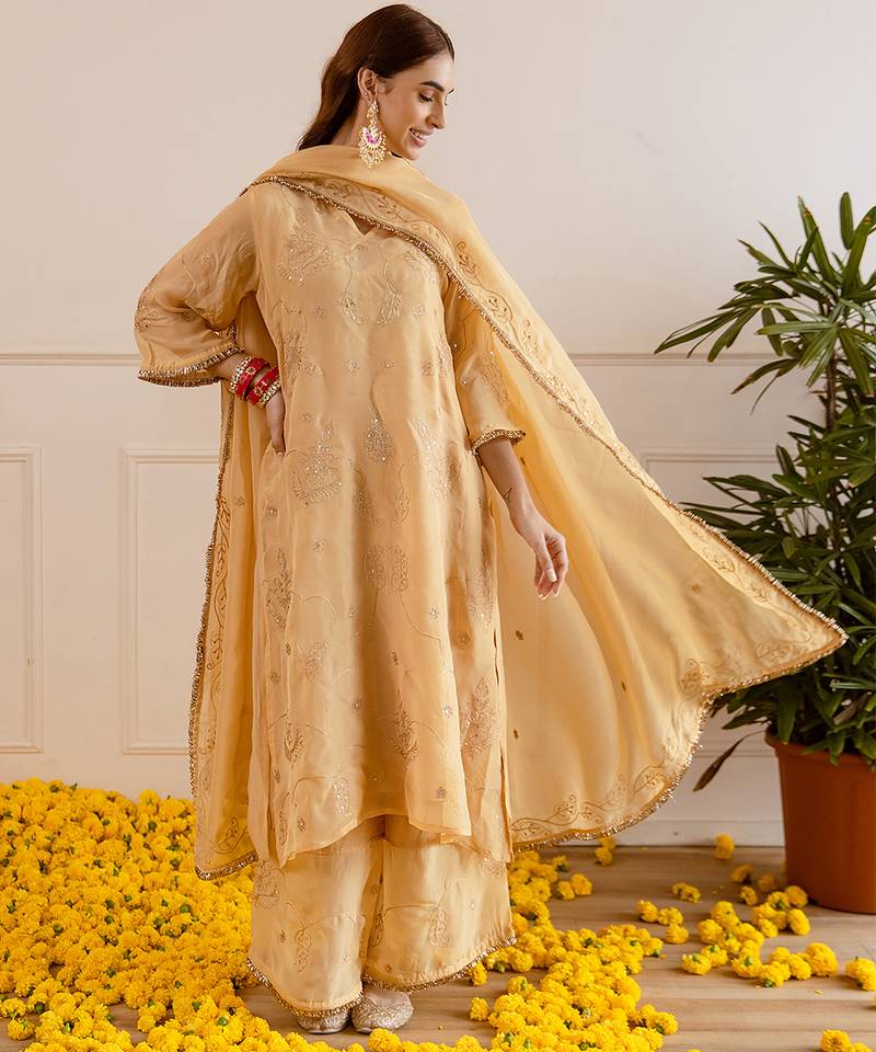 Beige embroidered organza kurta set