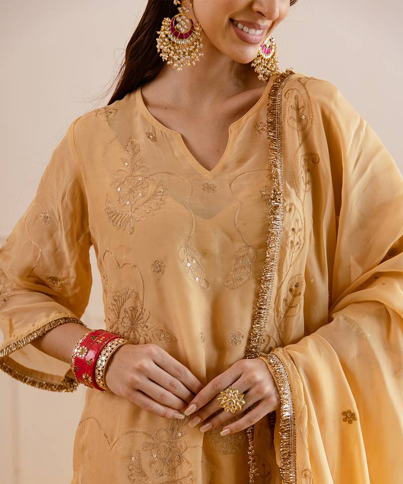 Beige embroidered organza kurta set