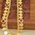Gold plated kerala style kasu palakka necklace