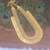 Gold plated kerala kasu stone necklace