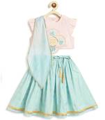 Pink embroidered viscose lehenga set