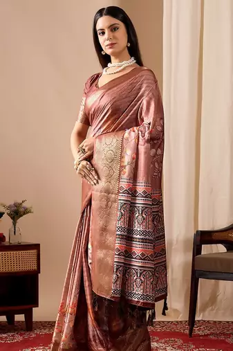 multicolor lichi silk saree with patola woven designs