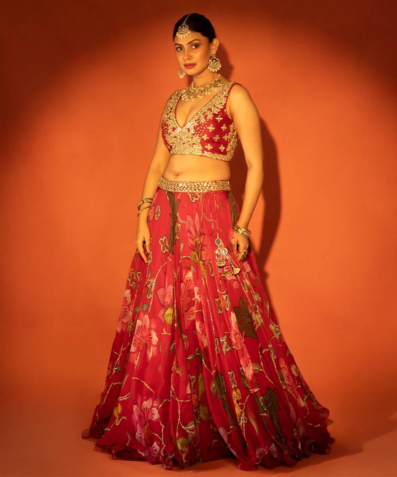 Red embroidered organza Lehenga