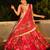 Red embroidered organza Lehenga