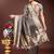 grey organza with thread work and zari weaving saree with blouse