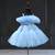 Powder blue little girls princess dress for party