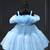 Powder blue little girls princess dress for party