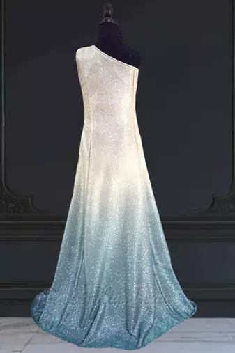 Silver fish cut party gown