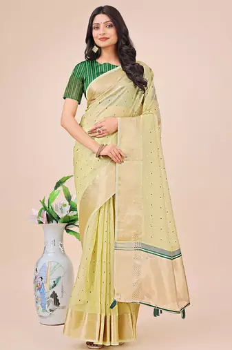 light green organza with thread work and zari weaving saree with blouse