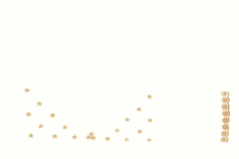 White sequin zari resham moti stone border georgette designer saree for women