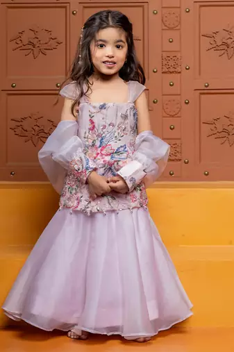 Pink embroidered  organza lehenga