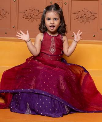 Multicolor embroidered  chanderi silk lehenga 5