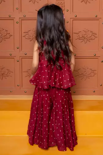 Maroon embroidered  chanderi silk co ord set