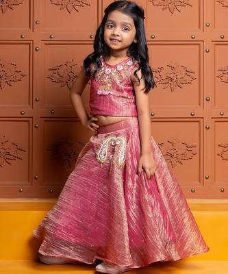 Pink embroidered  tissue lehenga 1