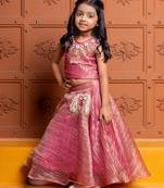 Pink embroidered  tissue lehenga