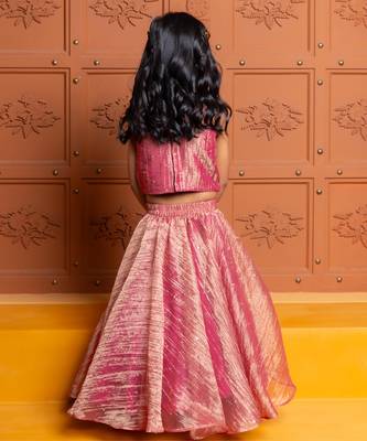 Pink embroidered  tissue lehenga 2