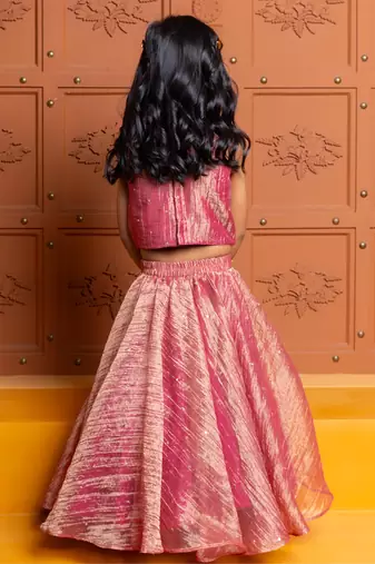 Pink embroidered  tissue lehenga