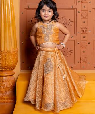 Brown embroidered  tissue lehenga 1