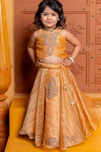 Brown embroidered  tissue lehenga