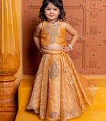 Brown embroidered  tissue lehenga