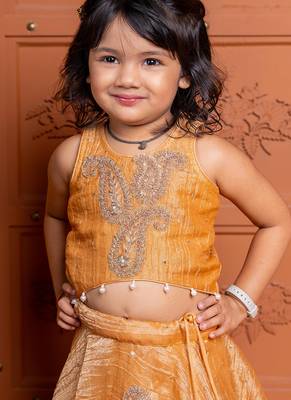 Brown embroidered  tissue lehenga 2