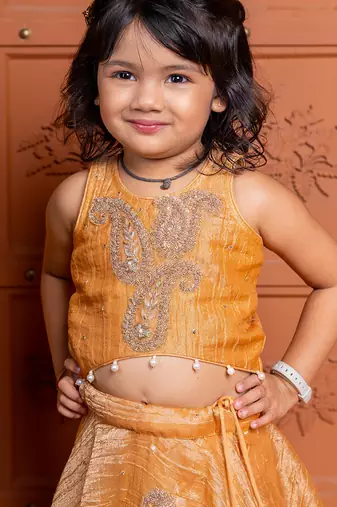 Brown embroidered  tissue lehenga