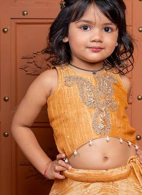 Brown embroidered  tissue lehenga 3