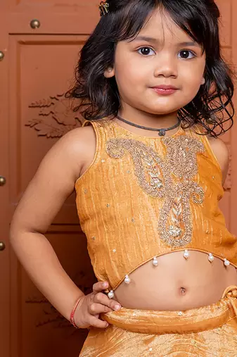 Brown embroidered  tissue lehenga