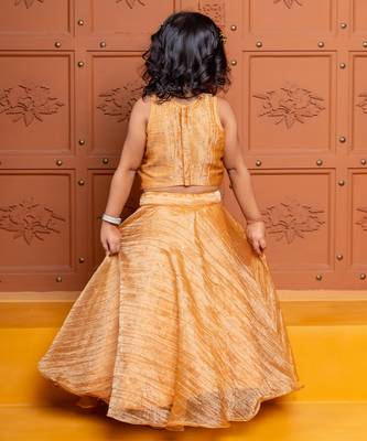 Brown embroidered  tissue lehenga 4