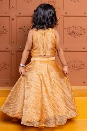 Brown embroidered  tissue lehenga