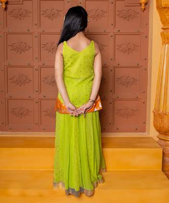 Multicolor embroidered  georgette  Co Ord Set 5