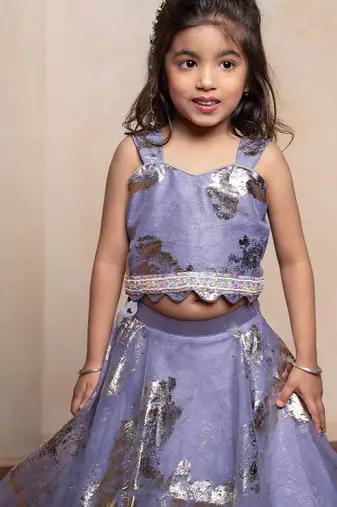 Lavender embroidered  organza lehenga