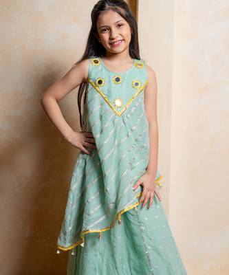 Sea green embroidered  organza co ord set 4