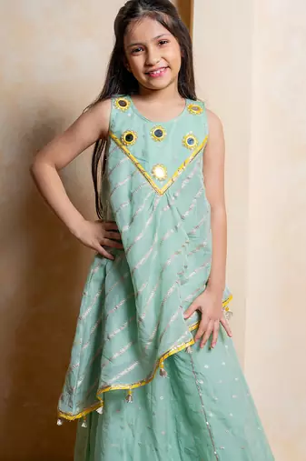Sea green embroidered  organza co ord set