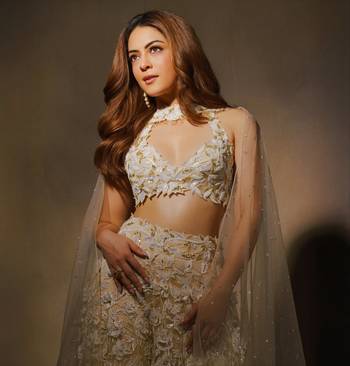 Ivory And Beige embroidered chiffon sharara with blouse and dupatta 4