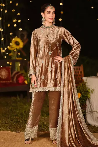 Stylee lifestyle brown velvet embroidered dress material