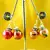 Moti Pearl Beads Earing