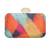 Multicolor sequin embroidered clutch
