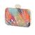 Multicolor sequin embroidered clutch