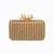 Gold sequin embroidered clutch