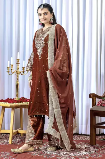 Brown velvet silk embroidery work party wear suit - full free size