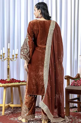 Brown velvet silk embroidery work party wear suit - full free size
